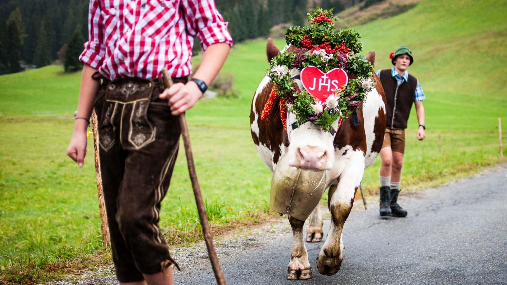 Südtiroler Kranzkuh im Gsiesertal Oktober Obotola Kirschta hotel La Casies