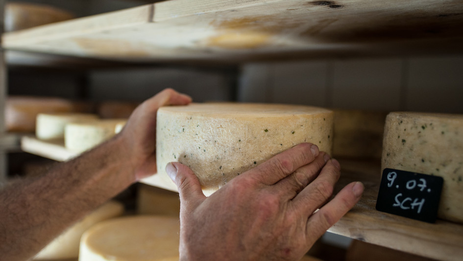 formaggio artigianale nel hotel La Casies in Val Casies