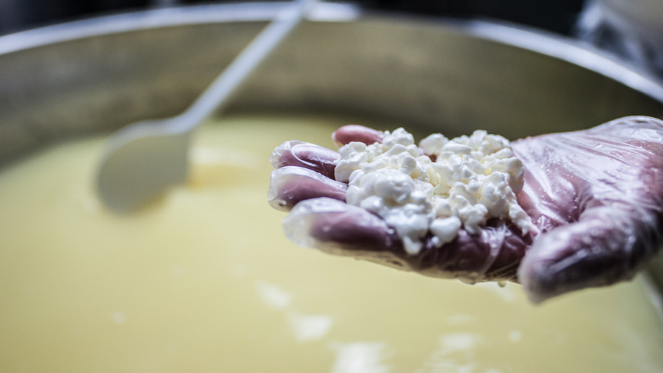 Käse aus Südtirol im Wanderhotel La Casies