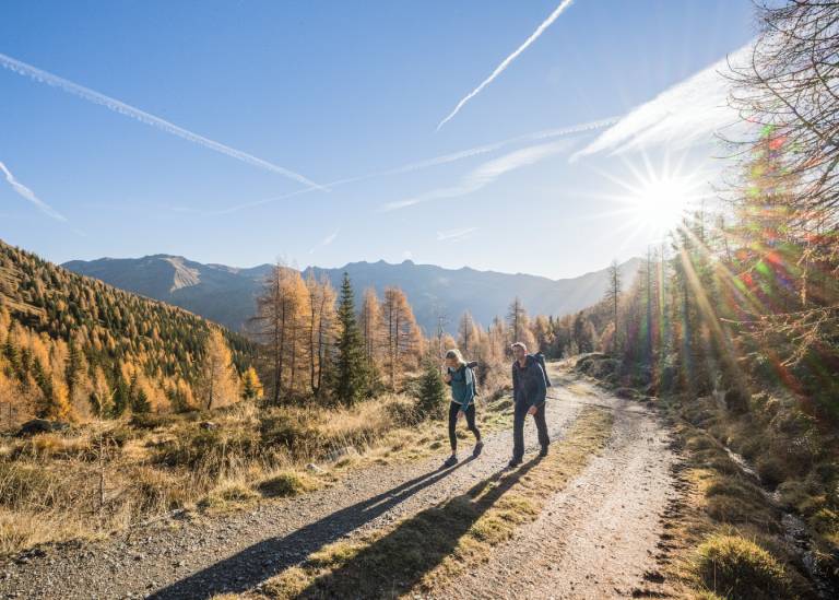 Angebot - Golden Autumn