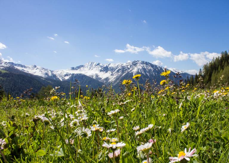 Angebot - Pfingst Wandertage