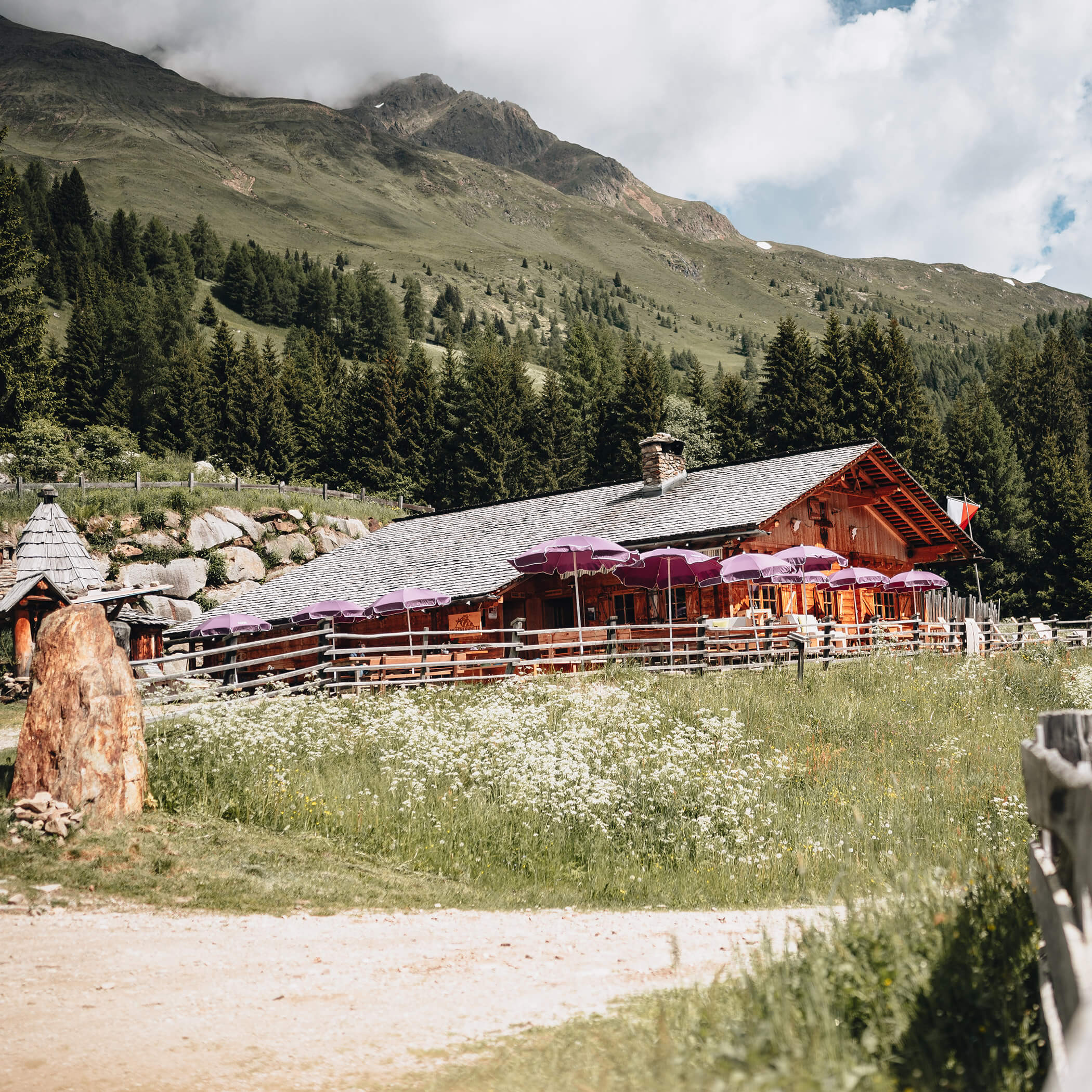 Hölzerne Berghütte mit lila Schirmen, umgeben von Bäumen und Wildblumen unter einem teilweise bewölkten Himmel. - Hotel La Casies Mountain Living