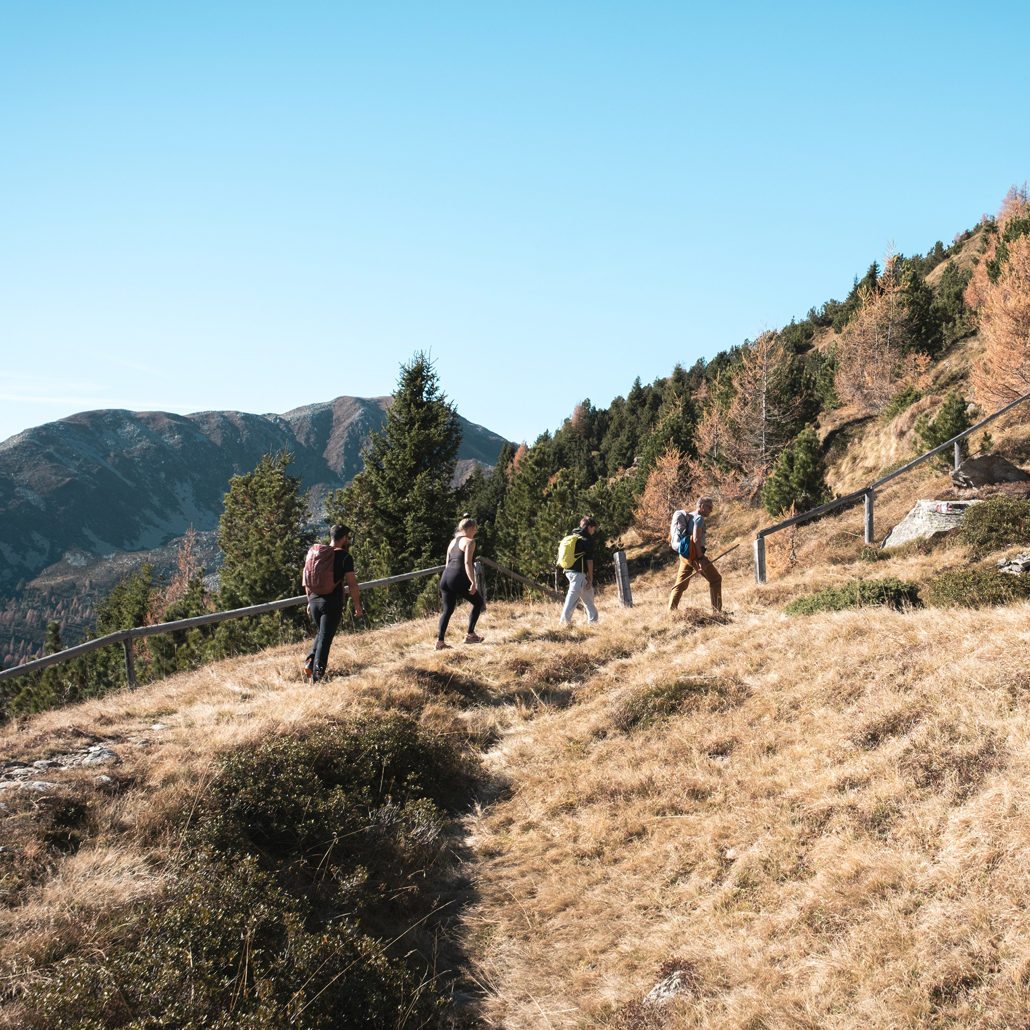 Vier Wanderer in den Gsieser Bergen - Hotel La Casies Mountain Living