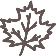 Simple brown outline drawing of a maple leaf with visible veins on a light background. - Hotel La Casies Mountain Living