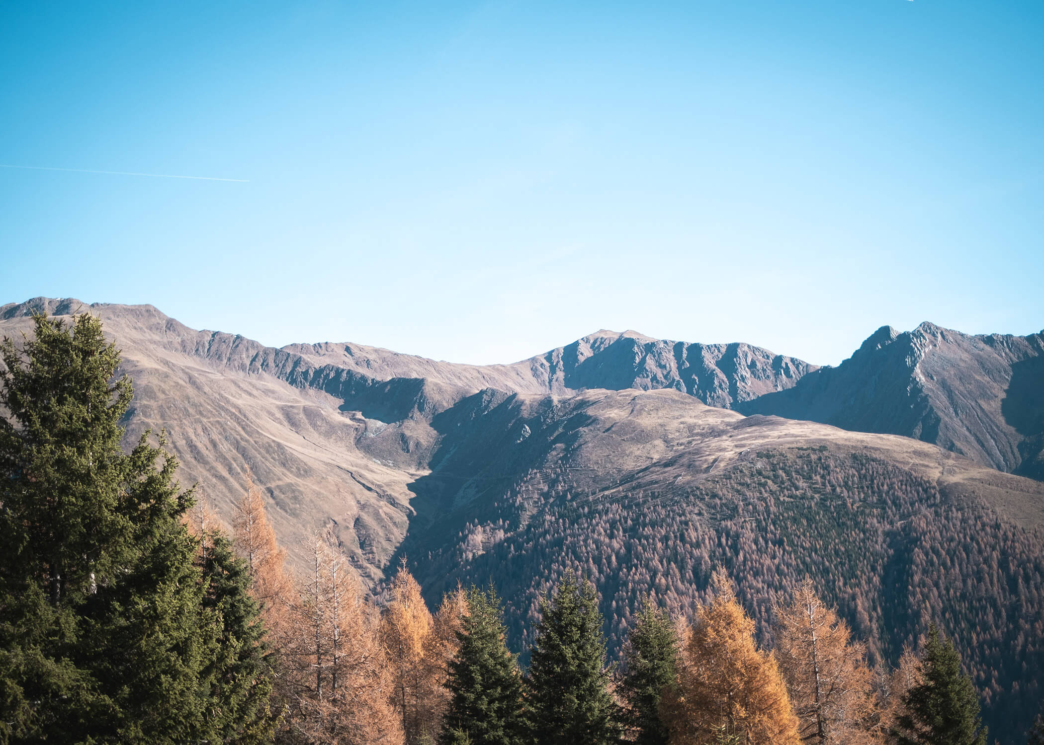 Entfernte Berge unter einem klaren blauen Himmel mit immergrünen und herbstlichen Bäumen im Vordergrund. - Hotel La Casies Mountain Living