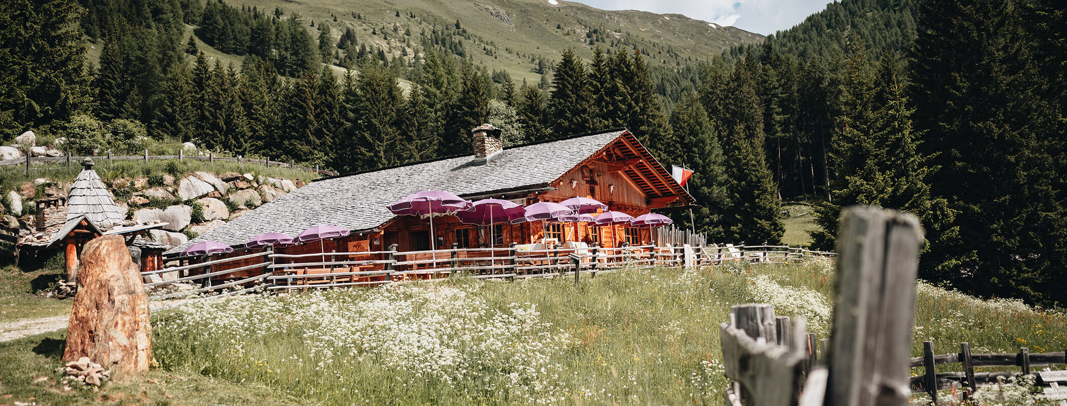 Eine rustikale Holzhütte mit lilafarbenen Schirmen steht auf einer Wiese, umgeben von Bäumen und Bergen. - Hotel La Casies Mountain Living