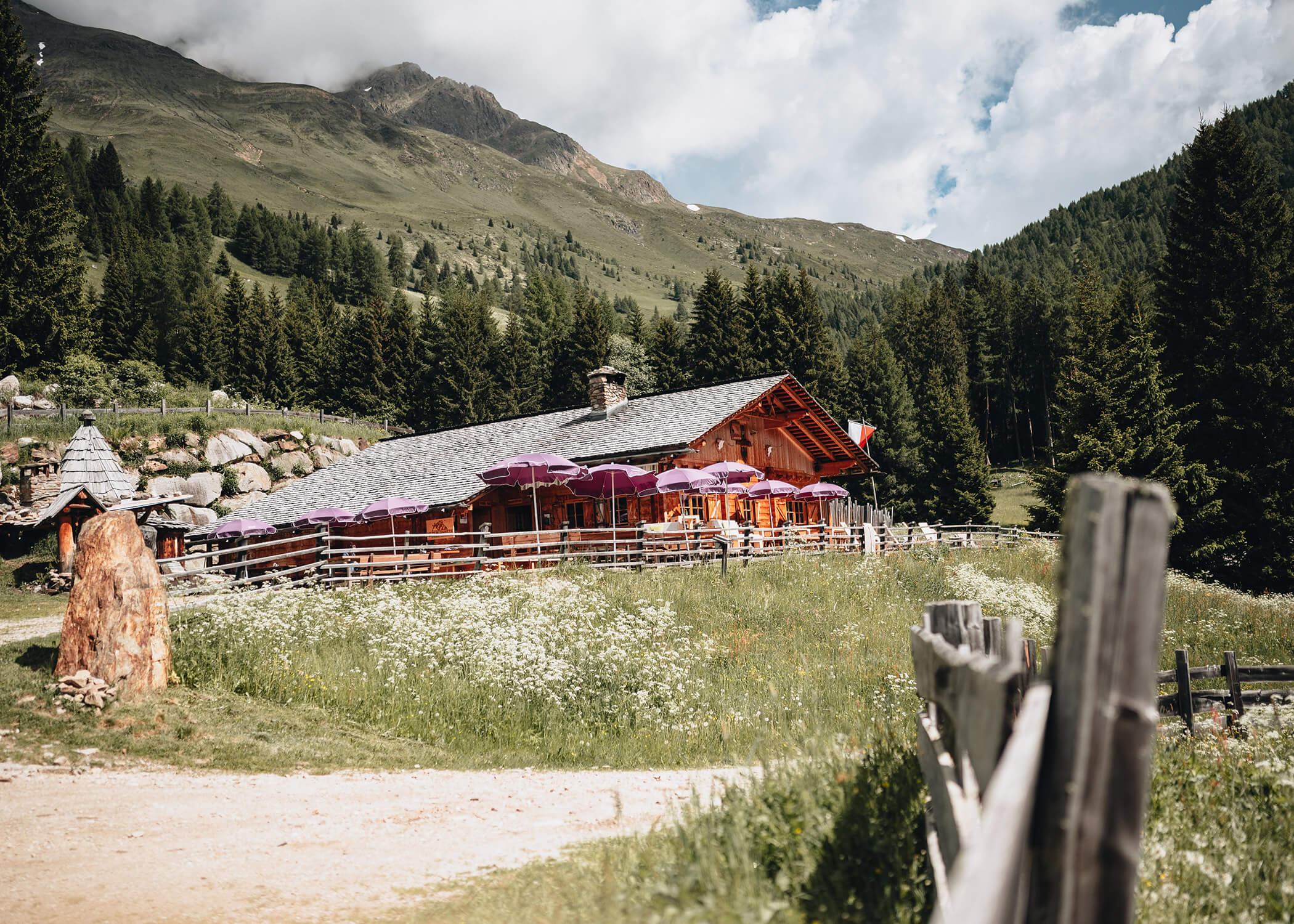 Eine rustikale Berghütte mit lila Schirmen, umgeben von Bäumen, Wildblumen und einem Holzzaun. - Hotel La Casies Mountain Living
